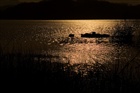 dailyPhoto34