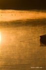 dailyPhoto40