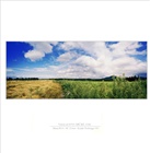dailyPhoto5