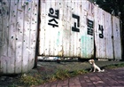 dailyPhoto32