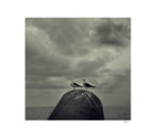 dailyPhoto10