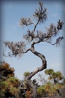 dailyPhoto35