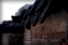 dailyPhoto11
