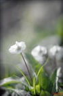 dailyPhoto24
