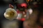 dailyPhoto6