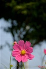 dailyPhoto13