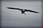 dailyPhoto6
