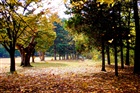 dailyPhoto7