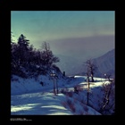 dailyPhoto6