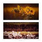 dailyPhoto20