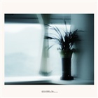dailyPhoto20