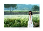 dailyPhoto14