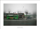 dailyPhoto5