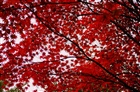 dailyPhoto32