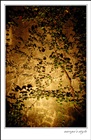 dailyPhoto40