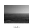 dailyPhoto5