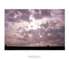 dailyPhoto12