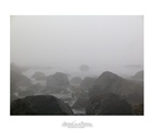 dailyPhoto33