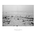 dailyPhoto8