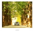 dailyPhoto9