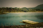 dailyPhoto10