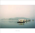 dailyPhoto35