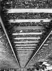 dailyPhoto37