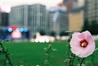 dailyPhoto31