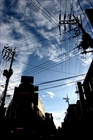 dailyPhoto9