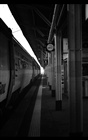 dailyPhoto28