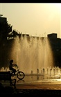 dailyPhoto35