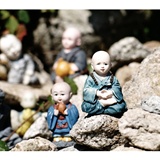 dailyPhoto9