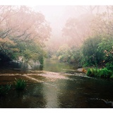 dailyPhoto26
