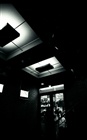 dailyPhoto25