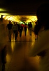 dailyPhoto6