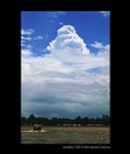 dailyPhoto8