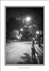 dailyPhoto15