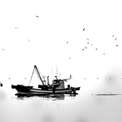 dailyPhoto3