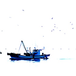 dailyPhoto6