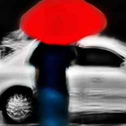 dailyPhoto5