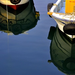dailyPhoto15