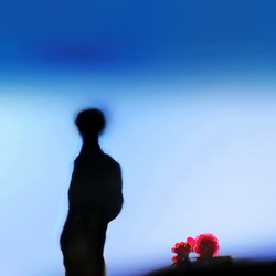 dailyPhoto14