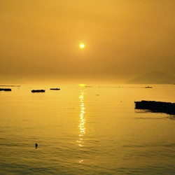 dailyPhoto38