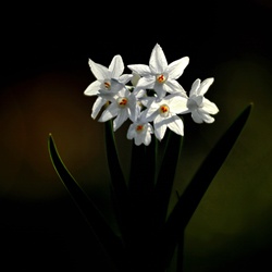 dailyPhoto34