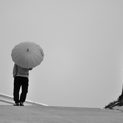 dailyPhoto36