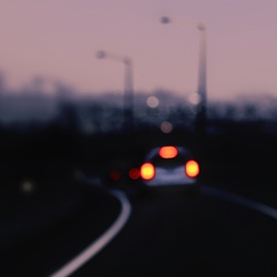 dailyPhoto5