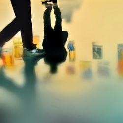 dailyPhoto24