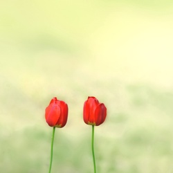 dailyPhoto13