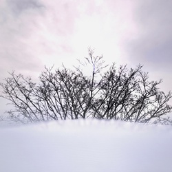 dailyPhoto11