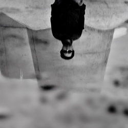 dailyPhoto14